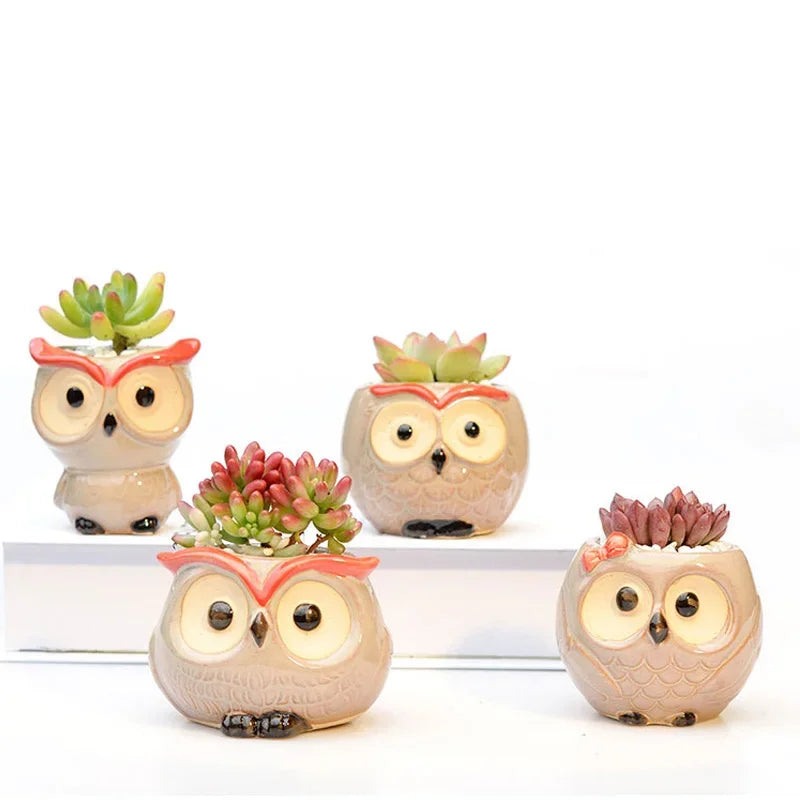 Cute Owl Ceramic Flower Pot 1pcs