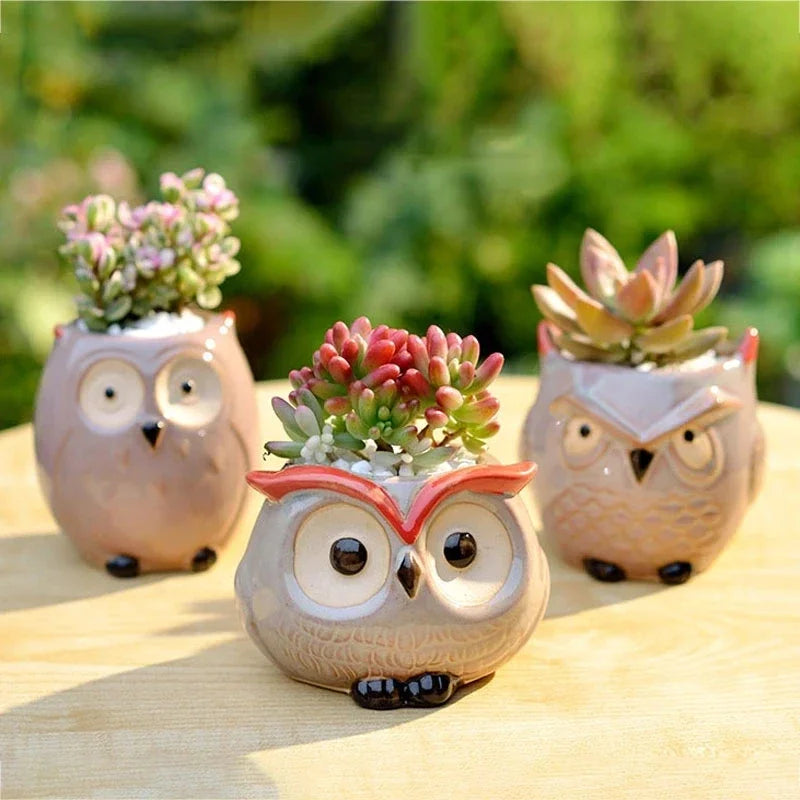 Cute Owl Ceramic Flower Pot 1pcs