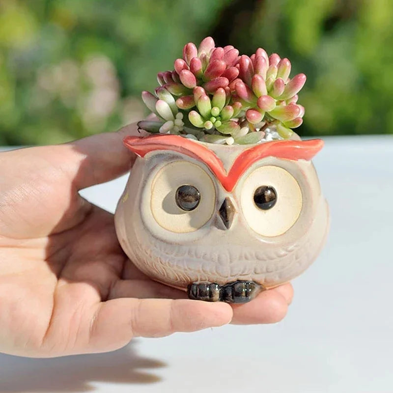 Cute Owl Ceramic Flower Pot 1pcs