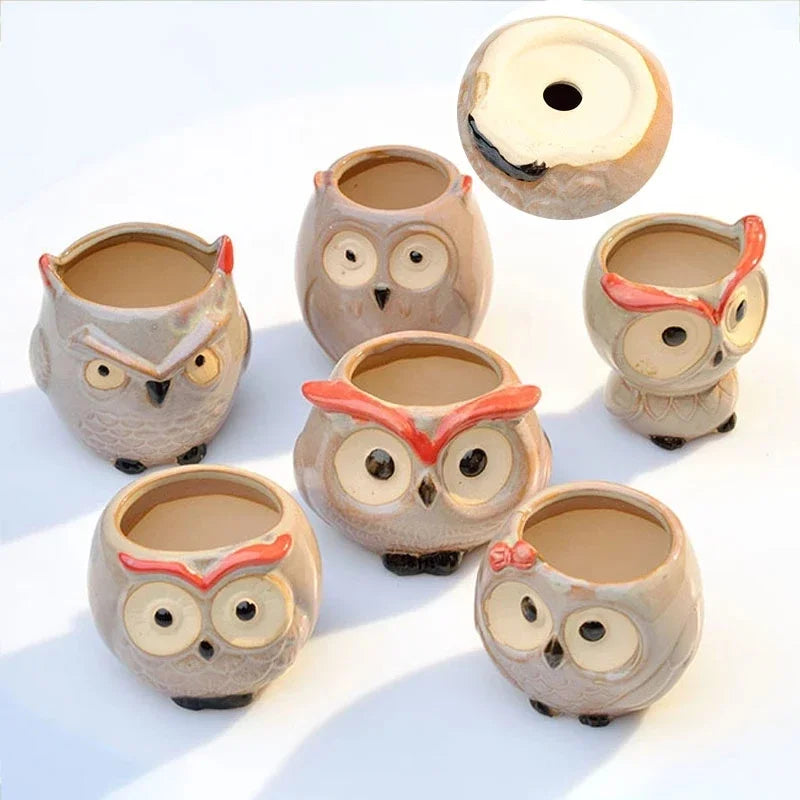 Cute Owl Ceramic Flower Pot 1pcs